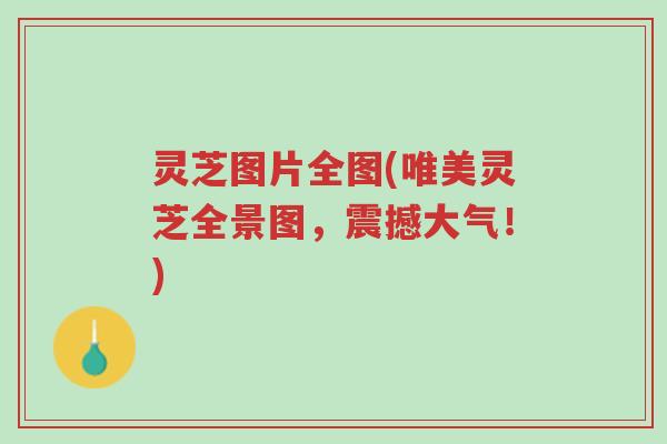 灵芝图片全图(唯美灵芝全景图,震撼大气!)-第1张图片-超越 灵芝图片全图(唯美灵芝全景图,震撼大气!)-第1张图片-超越