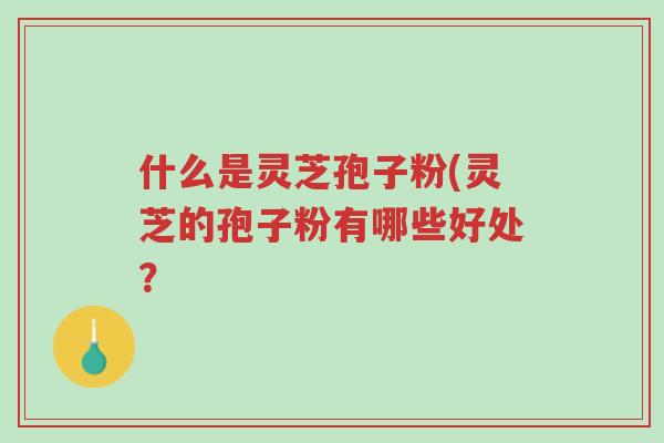 什么是灵芝孢子粉(灵芝的孢子粉有哪些好处?-第1张图片-超越 什么是灵芝孢子粉(灵芝的孢子粉有哪些好处?-第1张图片-超越
