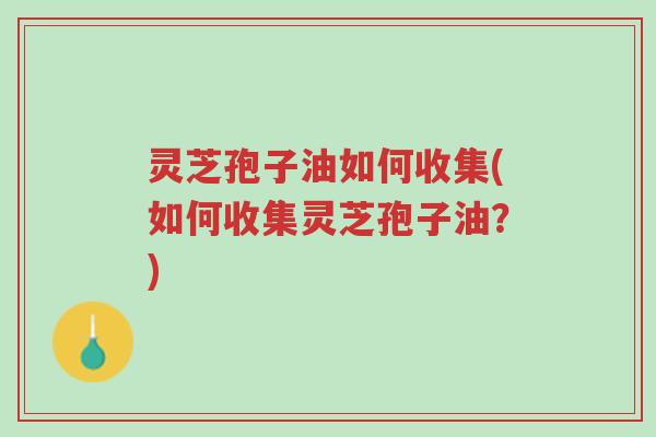 灵芝孢子油如何收集(如何收集灵芝孢子油?)-第1张图片-超越 灵芝孢子油如何收集(如何收集灵芝孢子油?)-第1张图片-超越