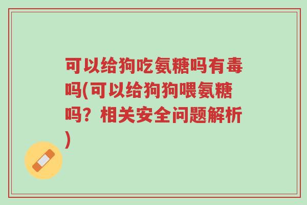 可以给狗吃氨糖吗有毒吗(可以给狗狗喂氨糖吗?相关安全问题解析)-第1张图片-超越 可以给狗吃氨糖吗有毒吗(可以给狗狗喂氨糖吗?相关安全问题解析)-第1张图片-超越