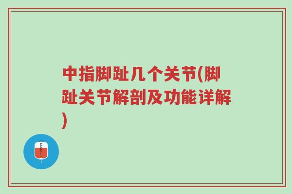 中指脚趾几个关节(脚趾关节解剖及功能详解)-第1张图片-超越 中指脚趾几个关节(脚趾关节解剖及功能详解)-第1张图片-超越