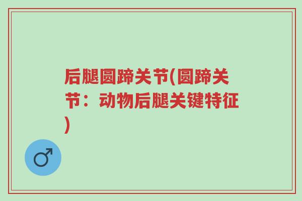 后腿圆蹄关节(圆蹄关节:动物后腿关键特征)-第1张图片-超越 后腿圆蹄关节(圆蹄关节:动物后腿关键特征)-第1张图片-超越