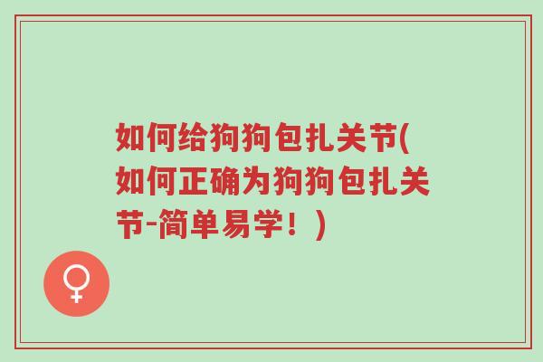 如何给狗狗包扎关节(如何正确为狗狗包扎关节-简单易学！)-第1张图片-超越