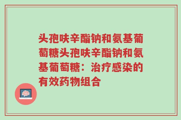 头孢呋辛酯钠和氨基葡萄糖头孢呋辛酯钠和氨基葡萄糖:治疗感染的有效药物组合-第1张图片-超越 头孢呋辛酯钠和氨基葡萄糖头孢呋辛酯钠和氨基葡萄糖:治疗感染的有效药物组合-第1张图片-超越