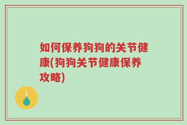 如何保养狗狗的关节健康(狗狗关节健康保养攻略)-第1张图片-超越 如何保养狗狗的关节健康(狗狗关节健康保养攻略)-第1张图片-超越