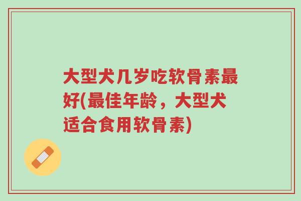 大型犬几岁吃软骨素最好(最佳年龄,大型犬适合食用软骨素)-第1张图片-超越 大型犬几岁吃软骨素最好(最佳年龄,大型犬适合食用软骨素)-第1张图片-超越