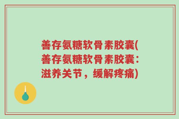 善存氨糖软骨素胶囊(善存氨糖软骨素胶囊：滋养关节，缓解疼痛)-第1张图片-超越