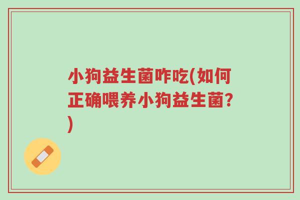小狗益生菌咋吃(如何正确喂养小狗益生菌?)-第1张图片-超越 小狗益生菌咋吃(如何正确喂养小狗益生菌?)-第1张图片-超越