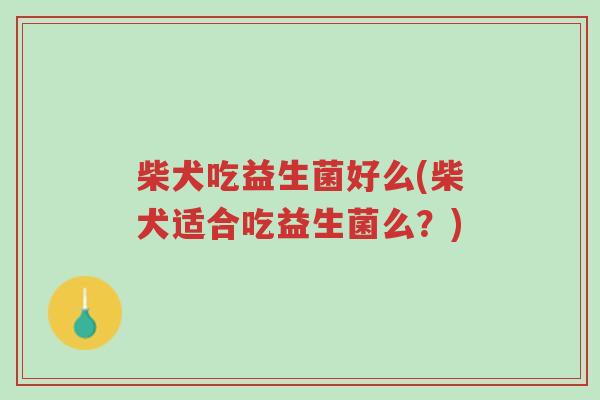 柴犬吃益生菌好么(柴犬适合吃益生菌么?)-第1张图片-超越 柴犬吃益生菌好么(柴犬适合吃益生菌么?)-第1张图片-超越