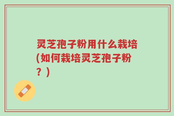 灵芝孢子粉用什么栽培(如何栽培灵芝孢子粉?)-第1张图片-超越 灵芝孢子粉用什么栽培(如何栽培灵芝孢子粉?)-第1张图片-超越