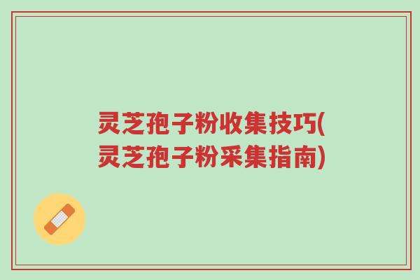 灵芝孢子粉收集技巧(灵芝孢子粉采集指南)-第1张图片-超越 灵芝孢子粉收集技巧(灵芝孢子粉采集指南)-第1张图片-超越