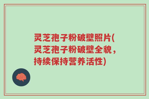灵芝孢子粉破壁照片(灵芝孢子粉破壁全貌,持续保持营养活性)-第1张图片-超越 灵芝孢子粉破壁照片(灵芝孢子粉破壁全貌,持续保持营养活性)-第1张图片-超越