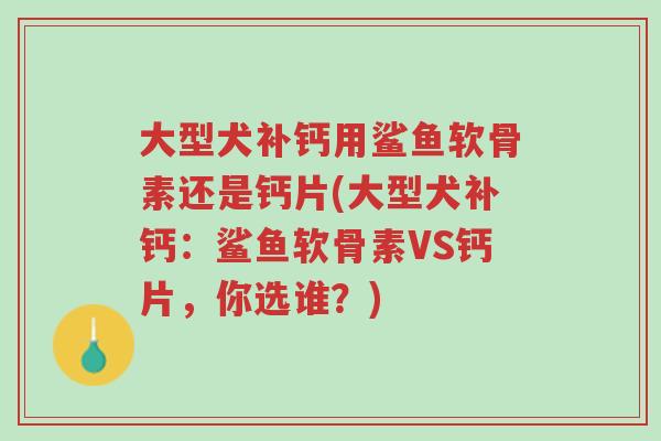 大型犬补钙用鲨鱼软骨素还是钙片(大型犬补钙:鲨鱼软骨素VS钙片,你选谁?)-第1张图片-超越 大型犬补钙用鲨鱼软骨素还是钙片(大型犬补钙:鲨鱼软骨素VS钙片,你选谁?)-第1张图片-超越