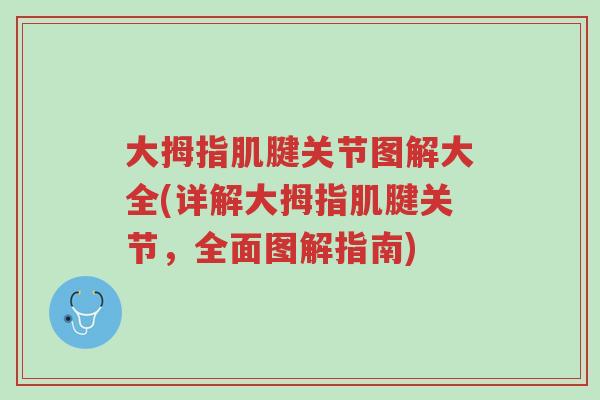 大拇指肌腱关节图解大全(详解大拇指肌腱关节,全面图解指南)-第1张图片-超越 大拇指肌腱关节图解大全(详解大拇指肌腱关节,全面图解指南)-第1张图片-超越