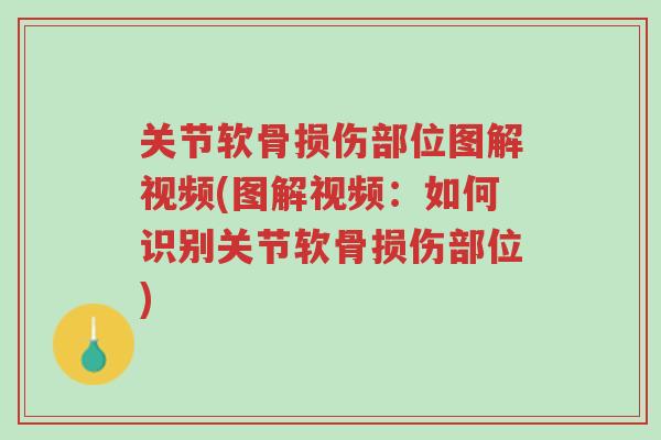 关节软骨损伤部位图解视频(图解视频:如何识别关节软骨损伤部位)-第1张图片-超越 关节软骨损伤部位图解视频(图解视频:如何识别关节软骨损伤部位)-第1张图片-超越