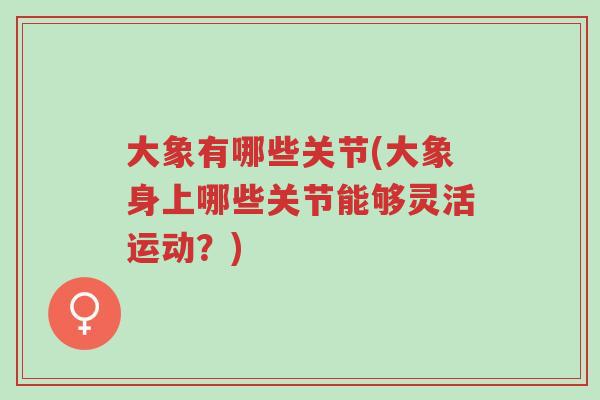 大象有哪些关节(大象身上哪些关节能够灵活运动?)-第1张图片-超越 大象有哪些关节(大象身上哪些关节能够灵活运动?)-第1张图片-超越