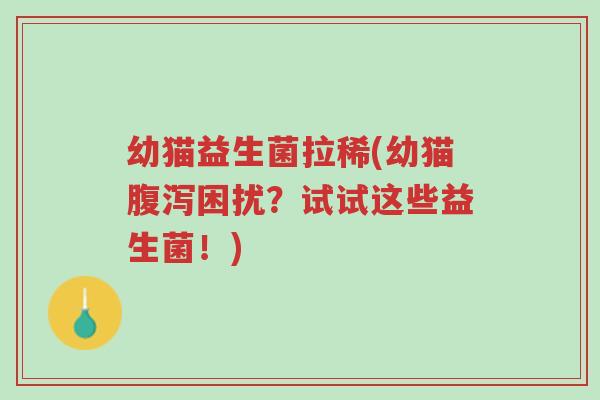 幼猫益生菌拉稀(幼猫腹泻困扰?试试这些益生菌!)-第1张图片-超越 幼猫益生菌拉稀(幼猫腹泻困扰?试试这些益生菌!)-第1张图片-超越