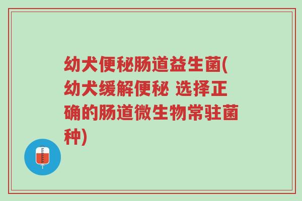 幼犬便秘肠道益生菌(幼犬缓解便秘 选择正确的肠道微生物常驻菌种)-第1张图片-超越 幼犬便秘肠道益生菌(幼犬缓解便秘 选择正确的肠道微生物常驻菌种)-第1张图片-超越