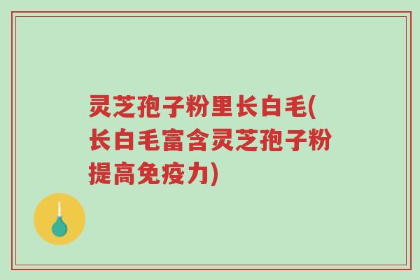 灵芝孢子粉里长白毛(长白毛富含灵芝孢子粉提高免疫力)-第1张图片-超越 灵芝孢子粉里长白毛(长白毛富含灵芝孢子粉提高免疫力)-第1张图片-超越
