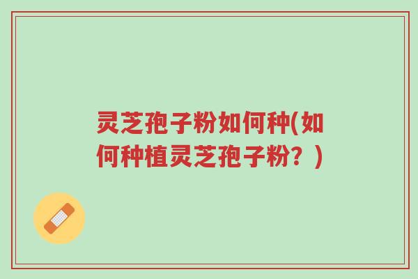 灵芝孢子粉如何种(如何种植灵芝孢子粉?)-第1张图片-超越 灵芝孢子粉如何种(如何种植灵芝孢子粉?)-第1张图片-超越