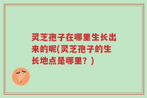 灵芝孢子在哪里生长出来的呢(灵芝孢子的生长地点是哪里?)-第1张图片-超越 灵芝孢子在哪里生长出来的呢(灵芝孢子的生长地点是哪里?)-第1张图片-超越