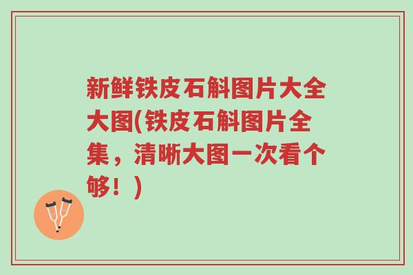 新鲜铁皮石斛图片大全大图(铁皮石斛图片全集,清晰大图一次看个够!)-第1张图片-超越 新鲜铁皮石斛图片大全大图(铁皮石斛图片全集,清晰大图一次看个够!)-第1张图片-超越