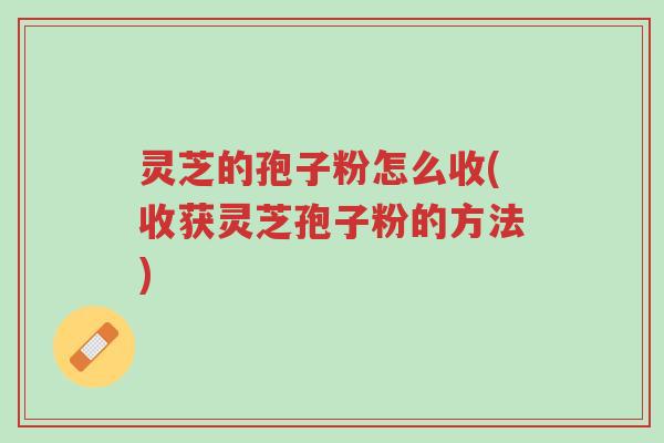 灵芝的孢子粉怎么收(收获灵芝孢子粉的方法)-第1张图片-超越 灵芝的孢子粉怎么收(收获灵芝孢子粉的方法)-第1张图片-超越
