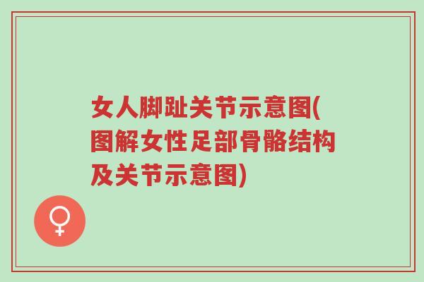 女人脚趾关节示意图(图解女性足部骨骼结构及关节示意图)-第1张图片-超越 女人脚趾关节示意图(图解女性足部骨骼结构及关节示意图)-第1张图片-超越