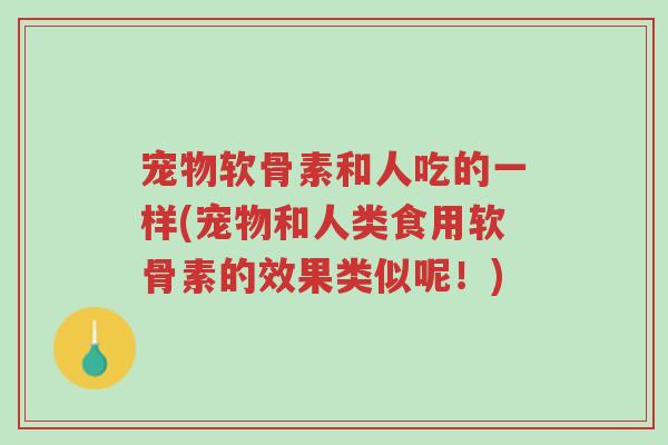 宠物软骨素和人吃的一样(宠物和人类食用软骨素的效果类似呢!)-第1张图片-超越 宠物软骨素和人吃的一样(宠物和人类食用软骨素的效果类似呢!)-第1张图片-超越