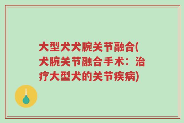 大型犬犬腕关节融合(犬腕关节融合手术:治疗大型犬的关节疾病)-第1张图片-超越 大型犬犬腕关节融合(犬腕关节融合手术:治疗大型犬的关节疾病)-第1张图片-超越