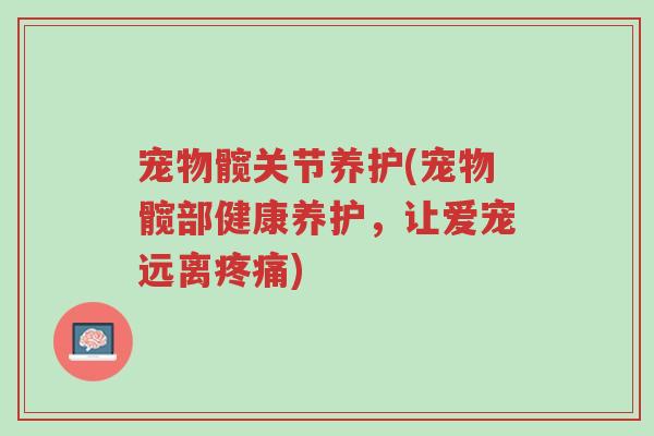 宠物髋关节养护(宠物髋部健康养护,让爱宠远离疼痛)-第1张图片-超越 宠物髋关节养护(宠物髋部健康养护,让爱宠远离疼痛)-第1张图片-超越
