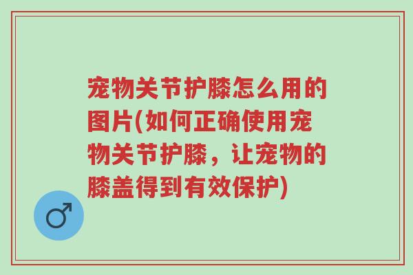 宠物关节护膝怎么用的图片(如何正确使用宠物关节护膝,让宠物的膝盖得到有效保护)-第1张图片-超越 宠物关节护膝怎么用的图片(如何正确使用宠物关节护膝,让宠物的膝盖得到有效保护)-第1张图片-超越
