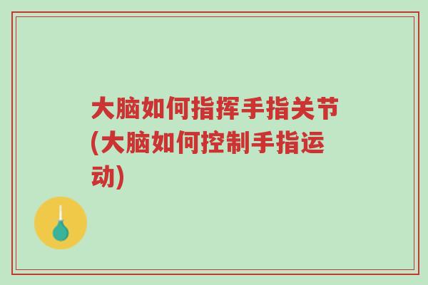 大脑如何指挥手指关节(大脑如何控制手指运动)-第1张图片-超越 大脑如何指挥手指关节(大脑如何控制手指运动)-第1张图片-超越