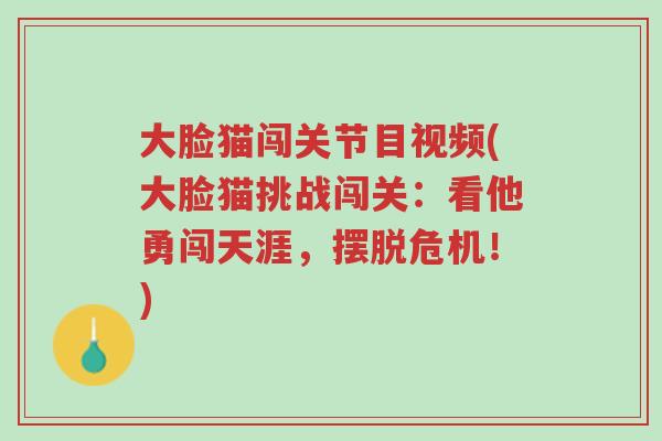 大脸猫闯关节目视频(大脸猫挑战闯关:看他勇闯天涯,摆脱危机!)-第1张图片-超越 大脸猫闯关节目视频(大脸猫挑战闯关:看他勇闯天涯,摆脱危机!)-第1张图片-超越