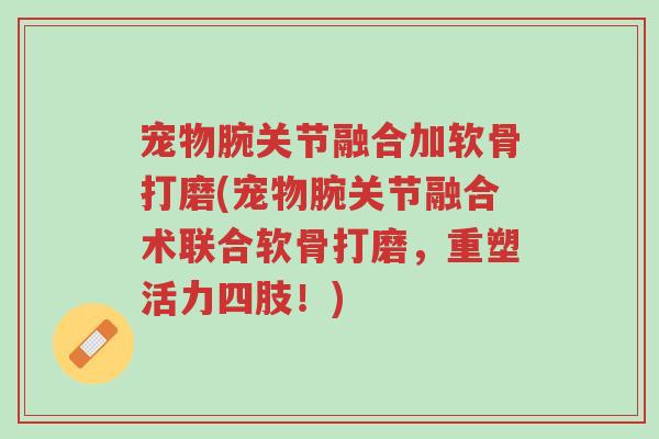 宠物腕关节融合加软骨打磨(宠物腕关节融合术联合软骨打磨,重塑活力四肢!)-第1张图片-超越 宠物腕关节融合加软骨打磨(宠物腕关节融合术联合软骨打磨,重塑活力四肢!)-第1张图片-超越