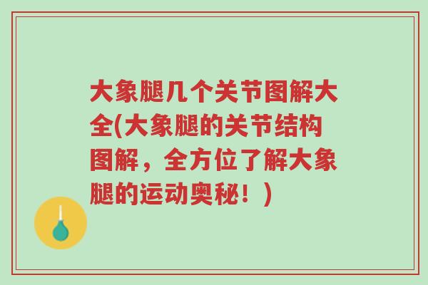 大象腿几个关节图解大全(大象腿的关节结构图解,全方位了解大象腿的运动奥秘!)-第1张图片-超越 大象腿几个关节图解大全(大象腿的关节结构图解,全方位了解大象腿的运动奥秘!)-第1张图片-超越