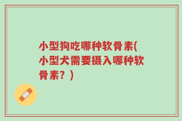 小型狗吃哪种软骨素(小型犬需要摄入哪种软骨素?)-第1张图片-超越 小型狗吃哪种软骨素(小型犬需要摄入哪种软骨素?)-第1张图片-超越