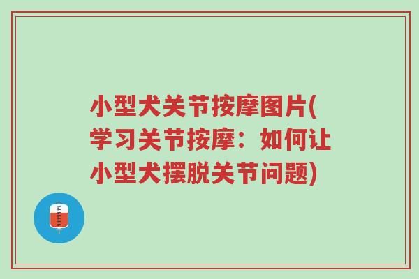 小型犬关节按摩图片(学习关节按摩:如何让小型犬摆脱关节问题)-第1张图片-超越 小型犬关节按摩图片(学习关节按摩:如何让小型犬摆脱关节问题)-第1张图片-超越