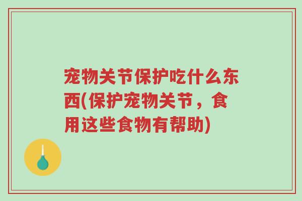 宠物关节保护吃什么东西(保护宠物关节,食用这些食物有帮助)-第1张图片-超越 宠物关节保护吃什么东西(保护宠物关节,食用这些食物有帮助)-第1张图片-超越