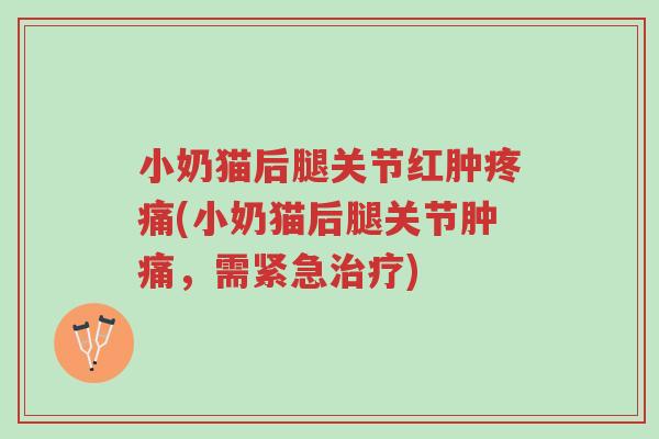 小奶猫后腿关节红肿疼痛(小奶猫后腿关节肿痛，需紧急治疗)-第1张图片-超越