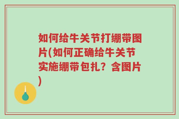 如何给牛关节打绷带图片(如何正确给牛关节实施绷带包扎?含图片)-第1张图片-超越 如何给牛关节打绷带图片(如何正确给牛关节实施绷带包扎?含图片)-第1张图片-超越