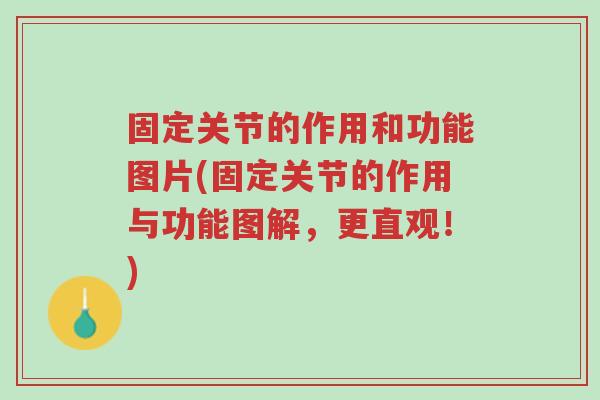 固定关节的作用和功能图片(固定关节的作用与功能图解,更直观!)-第1张图片-超越 固定关节的作用和功能图片(固定关节的作用与功能图解,更直观!)-第1张图片-超越