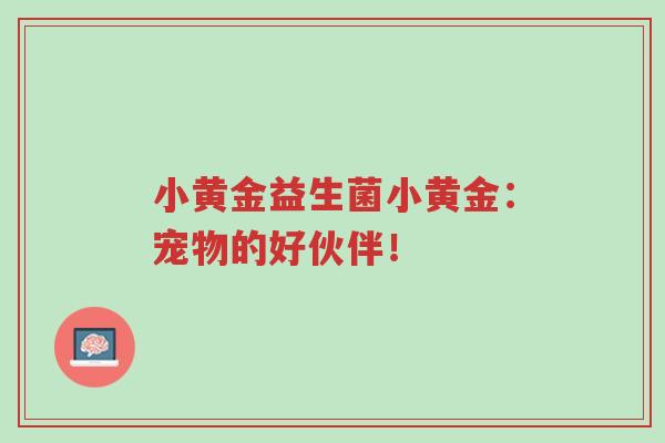 小黄金益生菌小黄金：宠物的好伙伴！-第1张图片-超越