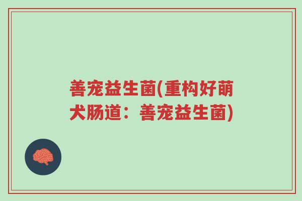 善宠益生菌(重构好萌犬肠道:善宠益生菌)-第1张图片-超越 善宠益生菌(重构好萌犬肠道:善宠益生菌)-第1张图片-超越
