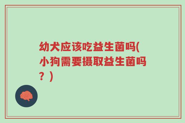 幼犬应该吃益生菌吗(小狗需要摄取益生菌吗?)-第1张图片-超越 幼犬应该吃益生菌吗(小狗需要摄取益生菌吗?)-第1张图片-超越
