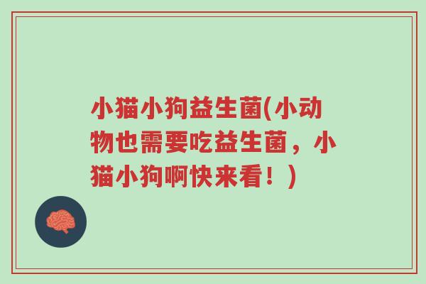 小猫小狗益生菌(小动物也需要吃益生菌,小猫小狗啊快来看!)-第1张图片-超越 小猫小狗益生菌(小动物也需要吃益生菌,小猫小狗啊快来看!)-第1张图片-超越