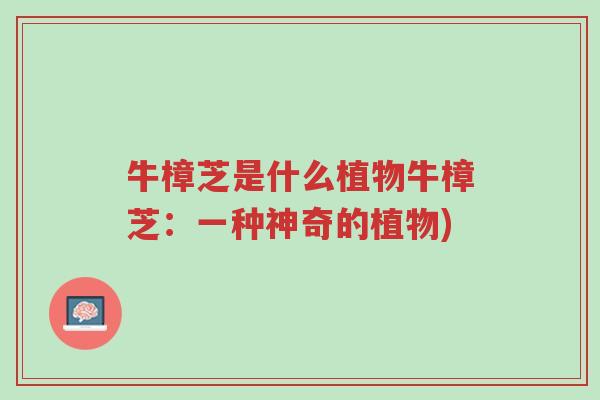 牛樟芝是什么植物牛樟芝:一种神奇的植物)-第1张图片-超越 牛樟芝是什么植物牛樟芝:一种神奇的植物)-第1张图片-超越