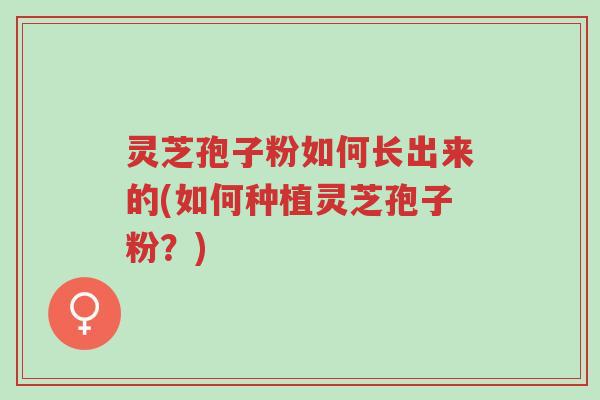 灵芝孢子粉如何长出来的(如何种植灵芝孢子粉？)-第1张图片-超越