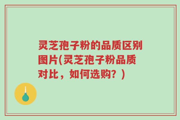 灵芝孢子粉的品质区别图片(灵芝孢子粉品质对比,如何选购?)-第1张图片-超越 灵芝孢子粉的品质区别图片(灵芝孢子粉品质对比,如何选购?)-第1张图片-超越