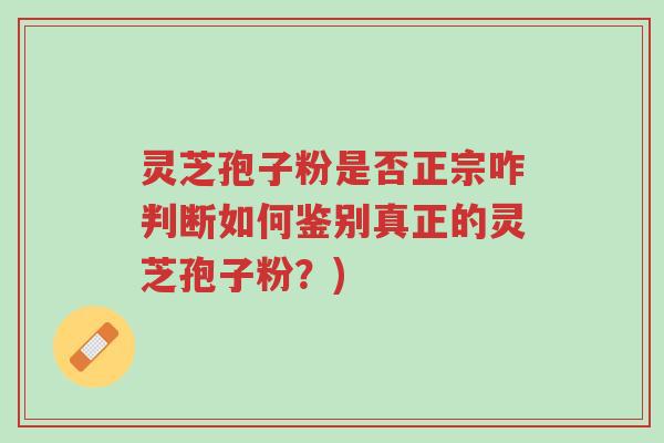 灵芝孢子粉是否正宗咋判断如何鉴别真正的灵芝孢子粉?)-第1张图片-超越 灵芝孢子粉是否正宗咋判断如何鉴别真正的灵芝孢子粉?)-第1张图片-超越